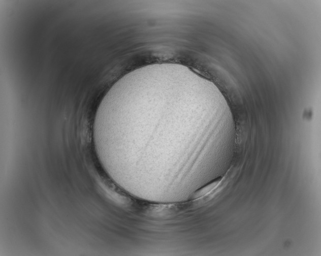 X0000097650136200803211905