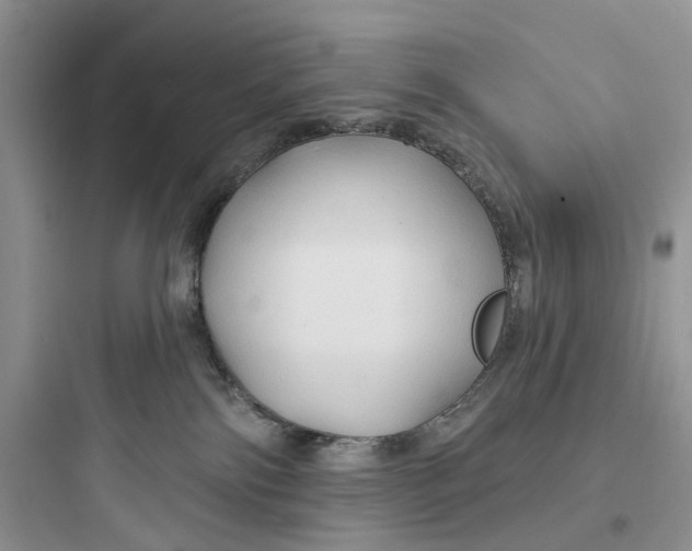 X0000097650138200803211905