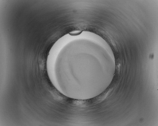 X0000097650139200803211905