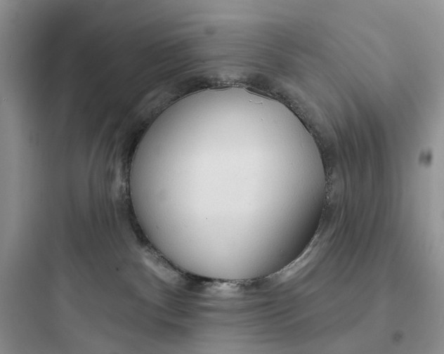 X0000097650140200803211905