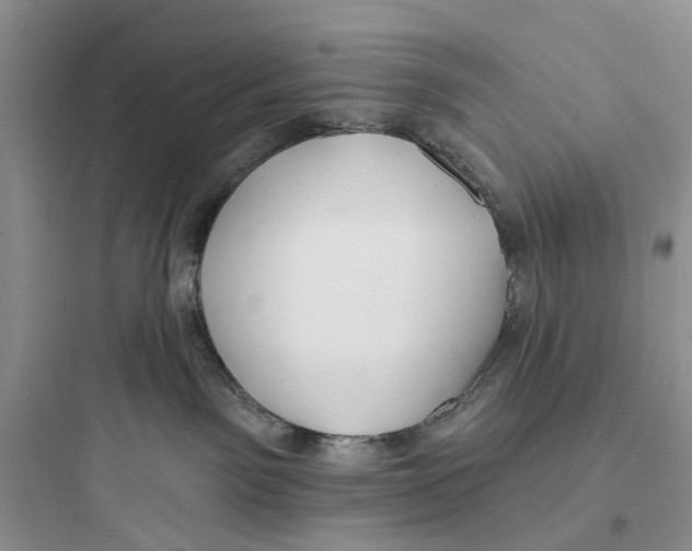 X0000097650141200803211905