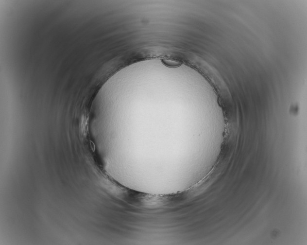 X0000097650142200803211905