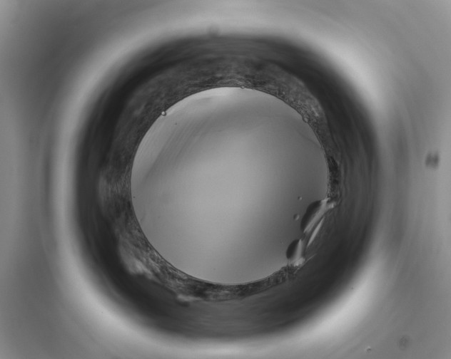 X0000097650143200803211905