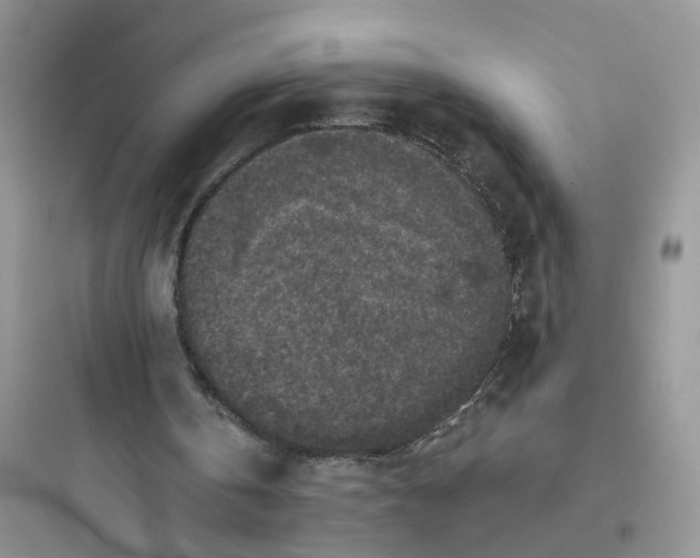 X0000097650146200803211904