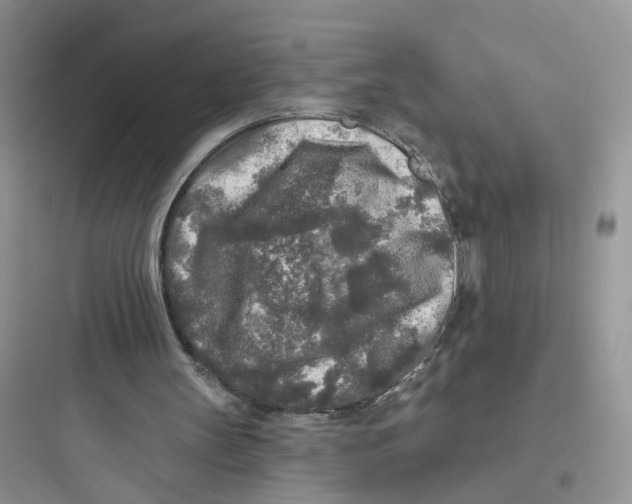 X0000097650147200803211904