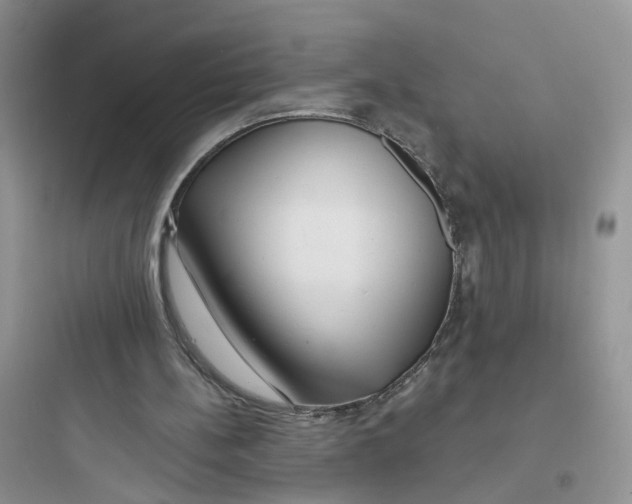 X0000097650148200803211904