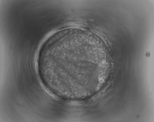 X0000097650149200803211904