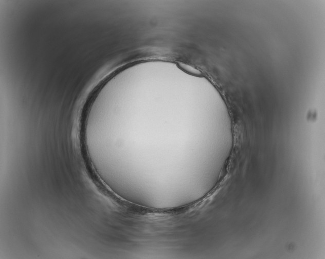 X0000097650150200803211904