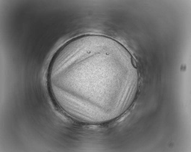 X0000097650151200803211904