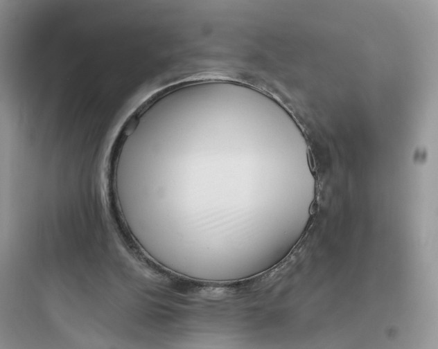 X0000097650152200803211904