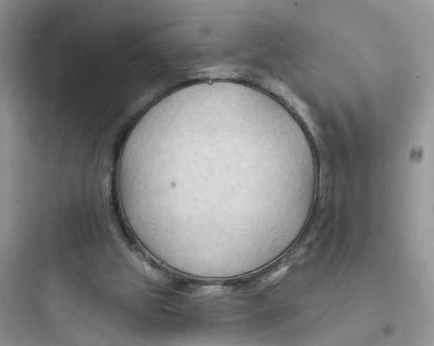 X0000097650153200803211904