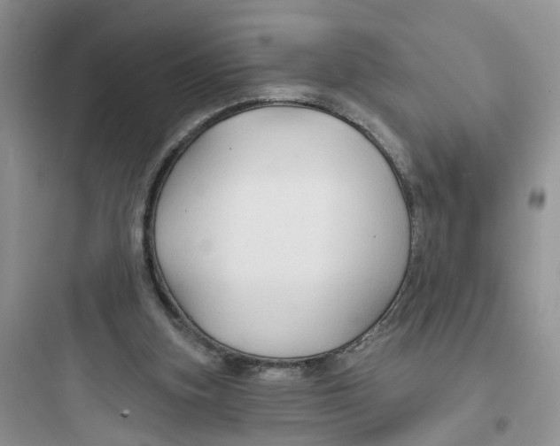 X0000097650155200803211904