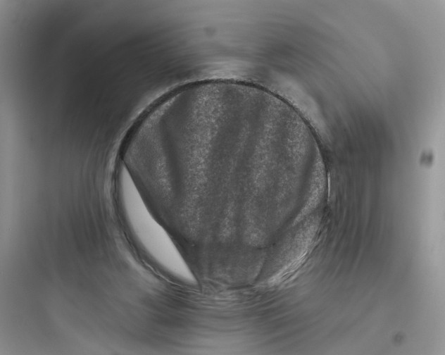 X0000097650156200803211904