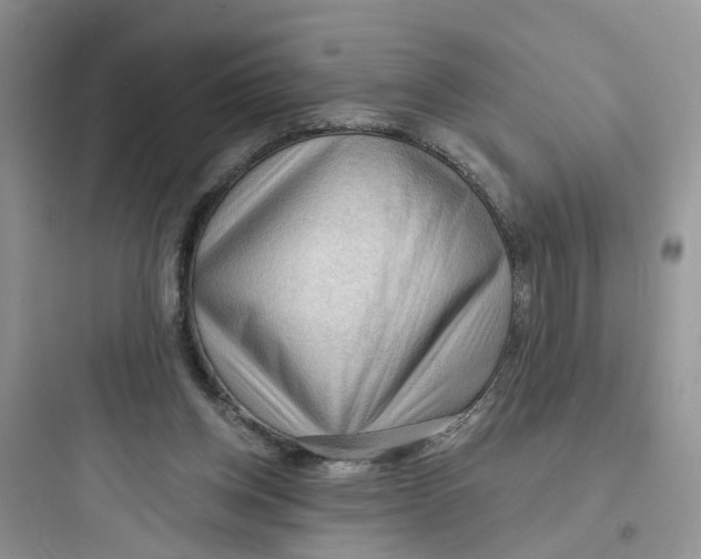 X0000097650158200803211904