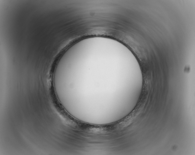 X0000097650160200803211904