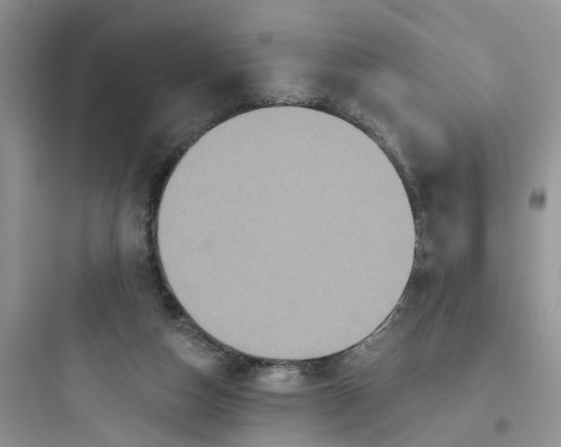 X0000097650162200803211904