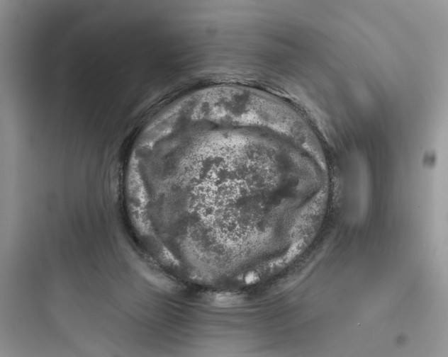 X0000097650165200803211904