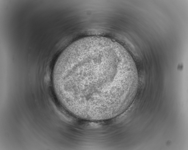 X0000097650166200803211904