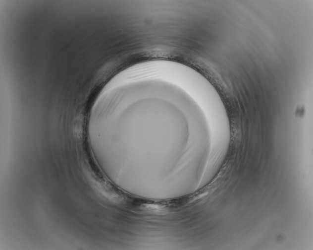 X0000097650167200803211904