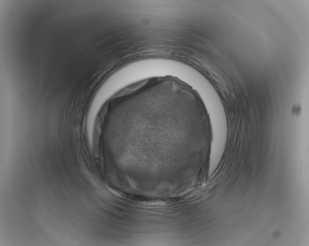 X0000097650168200803211904