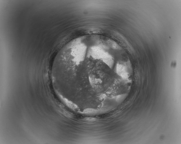 X0000097650169200803211904