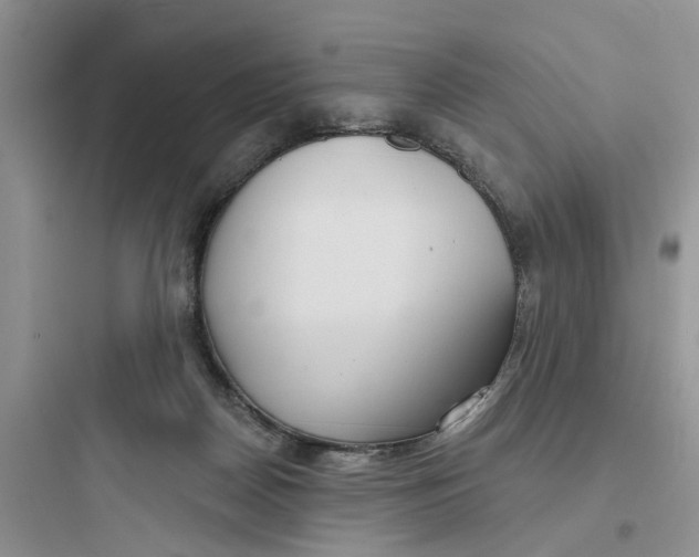 X0000097650170200803211904