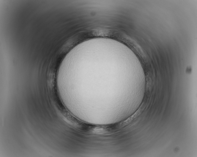 X0000097650171200803211904