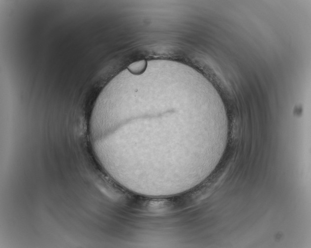 X0000097650173200803211904