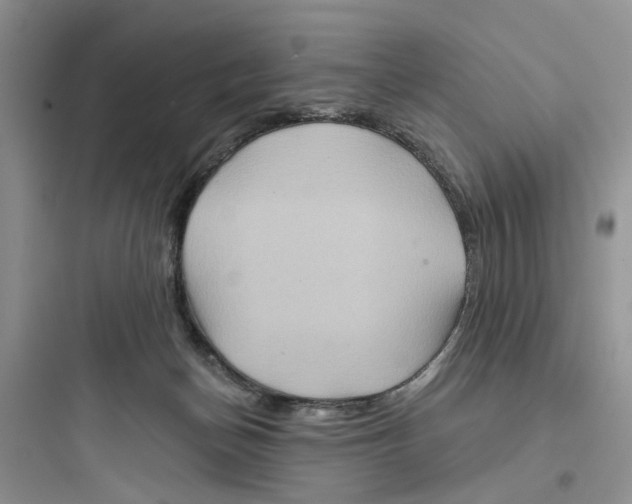 X0000097650174200803211904