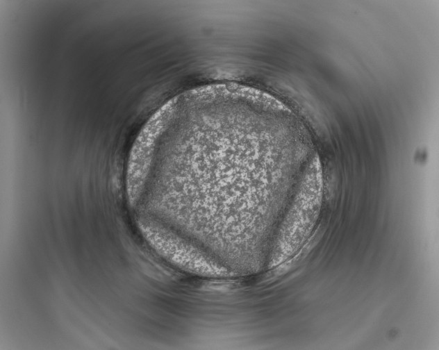 X0000097650175200803211904