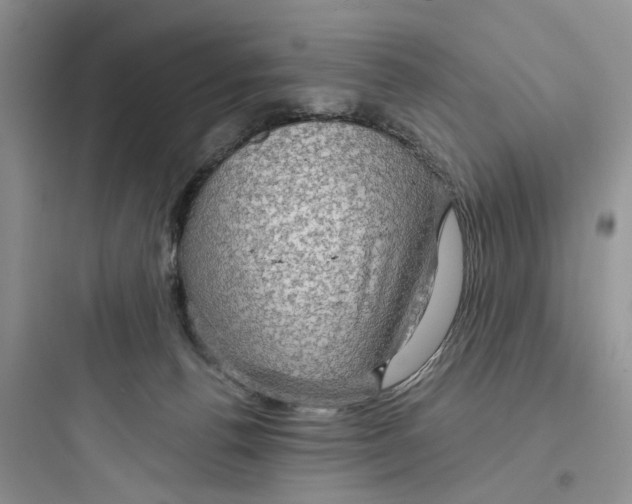 X0000097650176200803211904