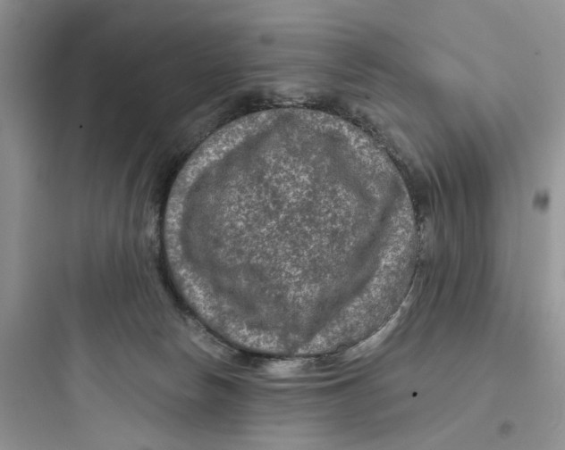 X0000097650178200803211904