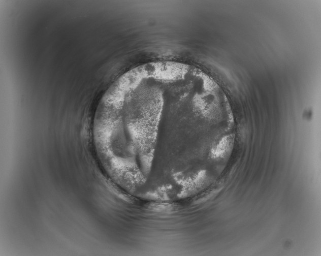 X0000097650181200803211904