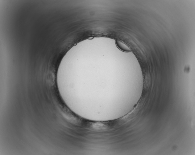 X0000097650183200803211904