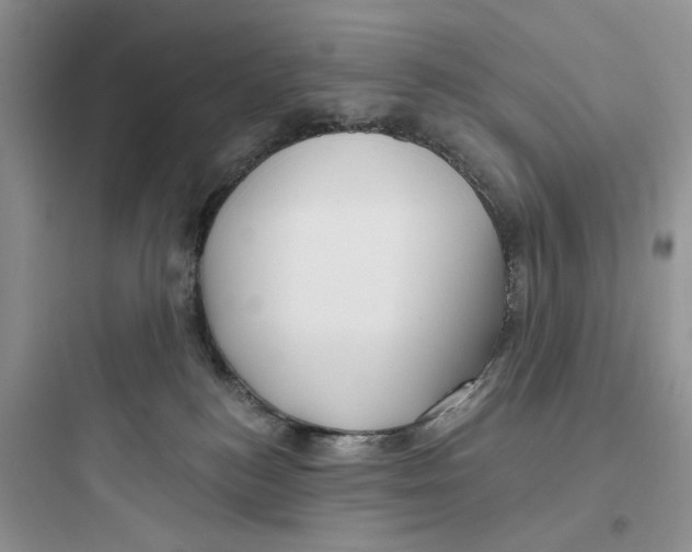 X0000097650184200803211904