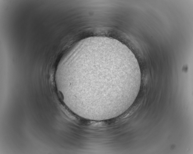 X0000097650185200803211904