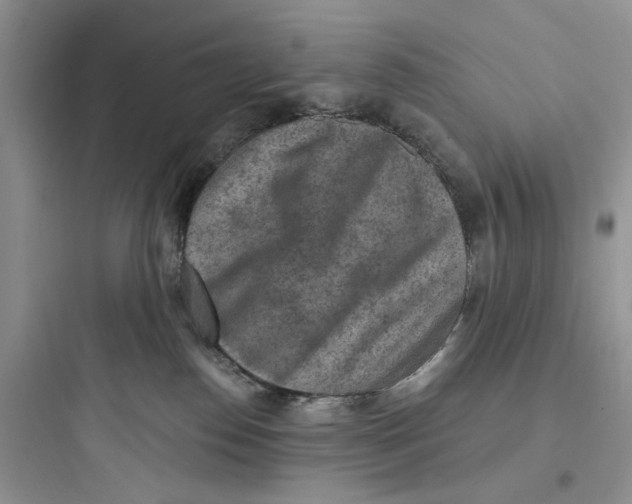 X0000097650186200803211904