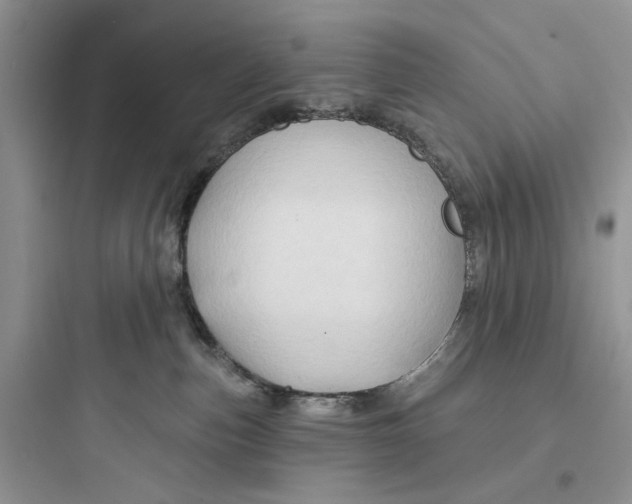 X0000097650187200803211904