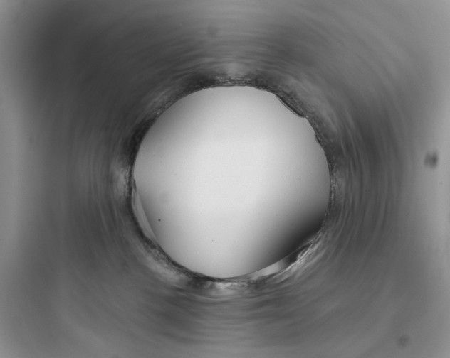 X0000097650188200803211905