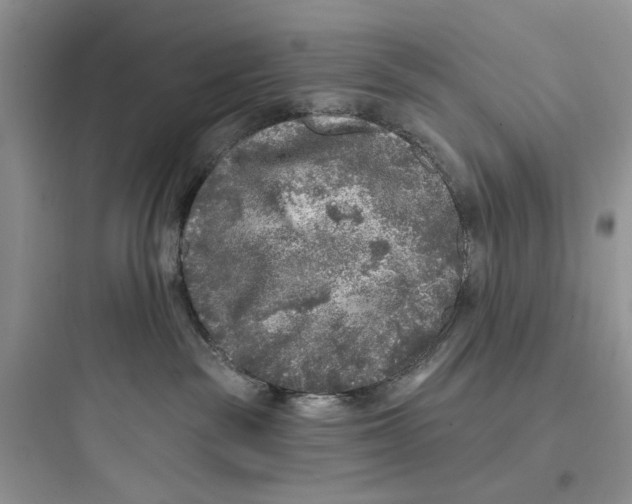 X0000097650189200803211905