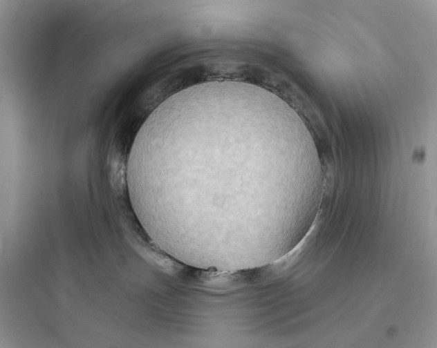 X0000097650191200803211905