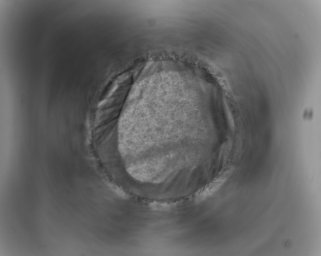 X0000097650192200803211905