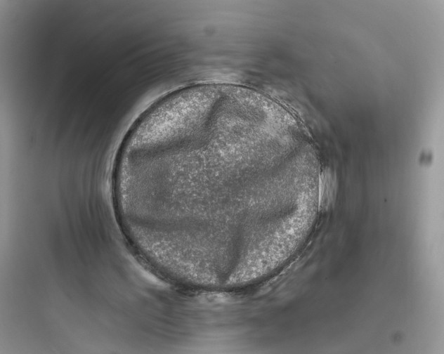 X0000097650195200803211904