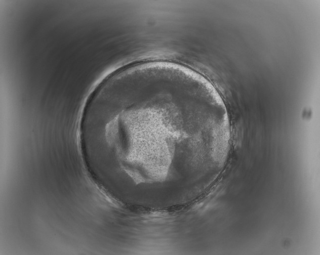 X0000097650196200803211904