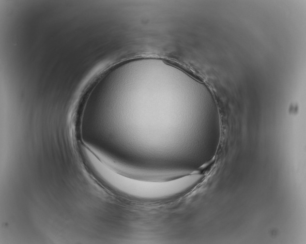 X0000097650197200803211904