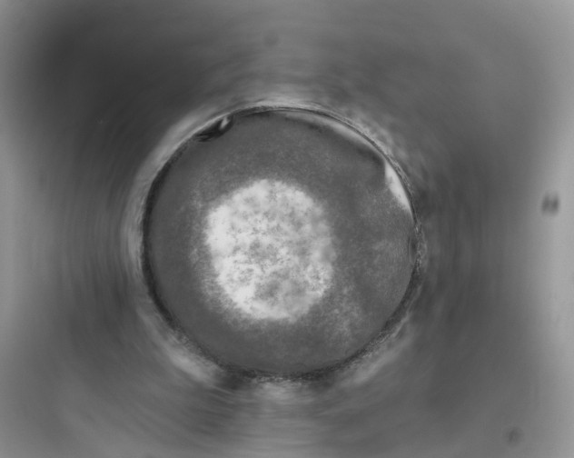 X0000097650199200803211904