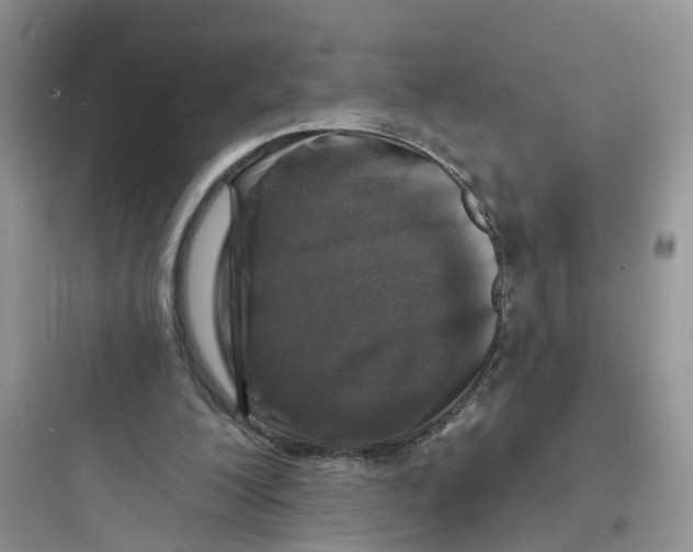 X0000097650200200803211904