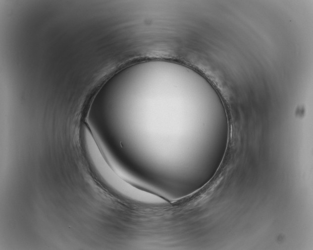 X0000097650201200803211904