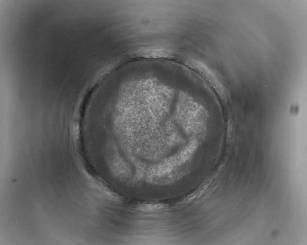 X0000097650202200803211904