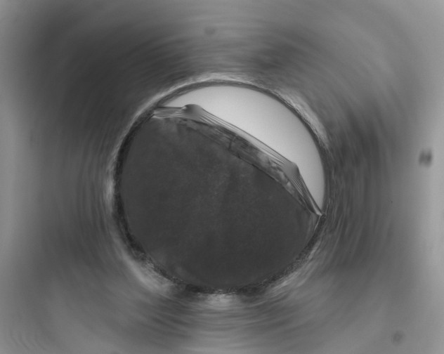 X0000097650204200803211904